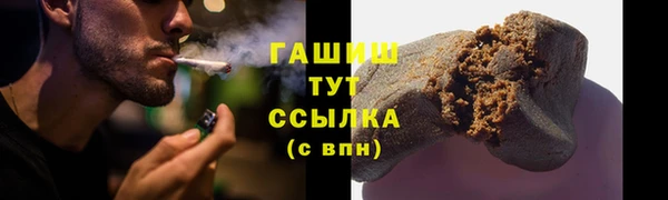 ПСИЛОЦИБИНОВЫЕ ГРИБЫ Вязники